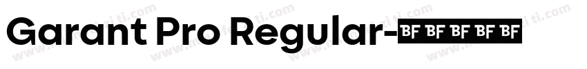 Garant Pro Regular字体转换
